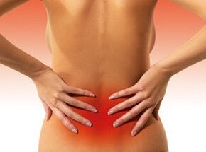 causes of spinal pain in the lumbar region